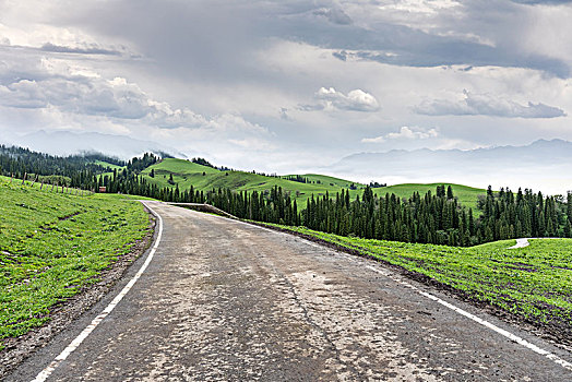 公路,地平线,道路,交通