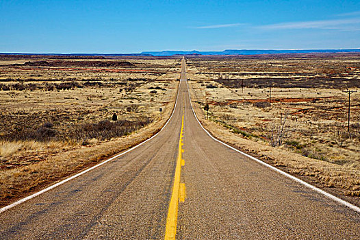 长,沙漠公路,伸展,远景,亚利桑那,美国