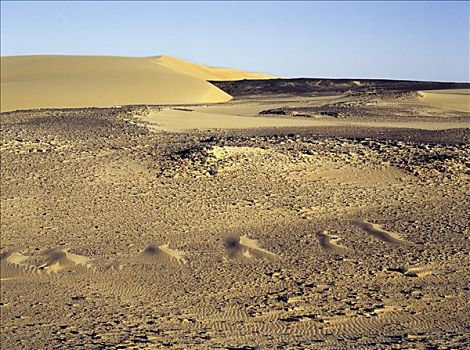 华美,沙漠,景色,努比亚,东北方,苏丹,腐蚀,沉积岩,沙丘,远景,动作,风