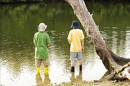 后视图,两个男孩,捕鱼,湖