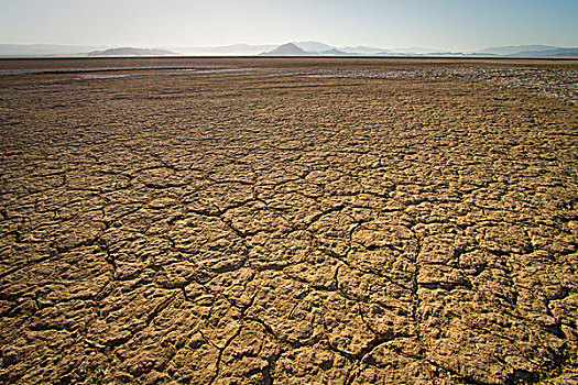 干燥,湖床,莫哈韦沙漠,国家,保存,加利福尼亚