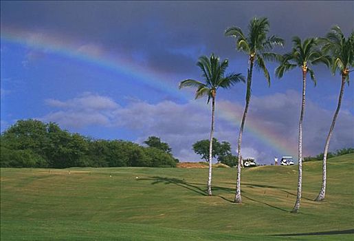 夏威夷,夏威夷大岛,北柯哈拉,莫纳克亚,胜地,高尔夫球场,彩虹,棕榈树