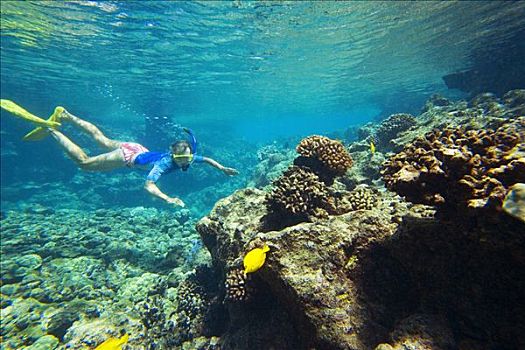 夏威夷,毛伊岛,麦肯那,自然,区域,自然保护区,水下呼吸管,清晰,海洋,水,高处,礁石