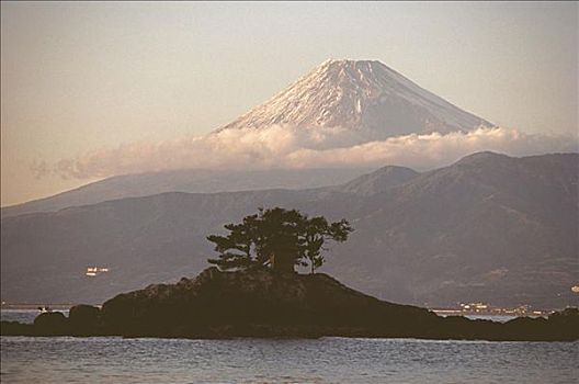 树,岛屿,山,背景,富士山,静冈,日本