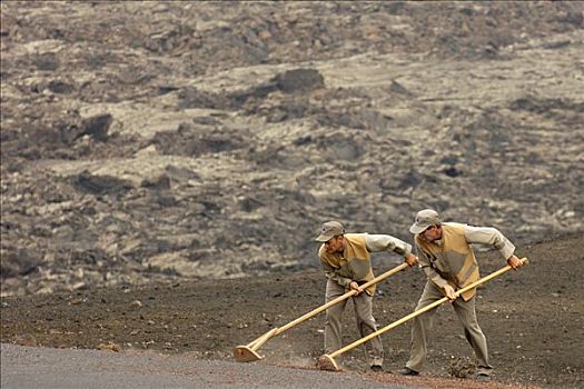 工人,打扫,道路,兰索罗特岛,加纳利群岛