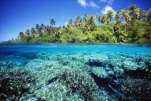 密克罗尼西亚,珊瑚礁,热带海岛,背景