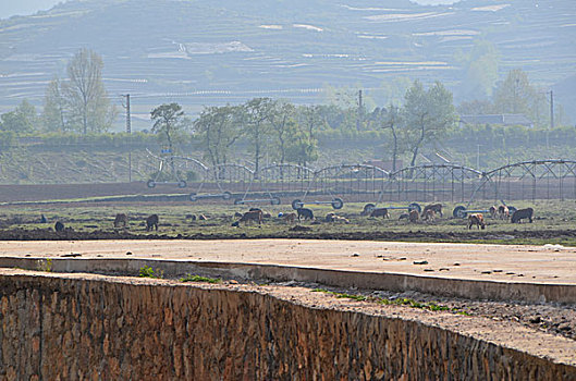 田园景观