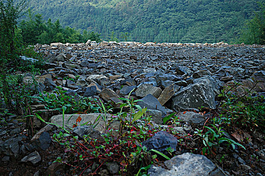 野外,碎石,简易路面,烂路,荒草