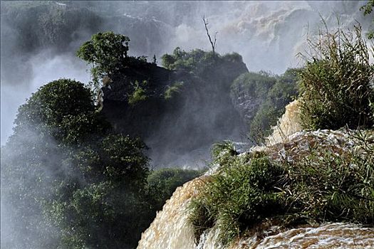 伊瓜苏瀑布,边界,阿根廷,巴西,特写,瀑布