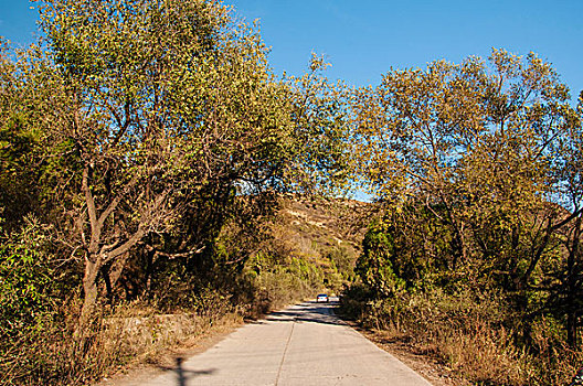 山中的小路