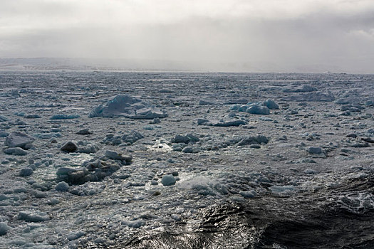 北冰洋,冰,峡湾,斯瓦尔巴特群岛,挪威