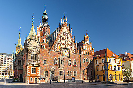 市场,老,哥特式,市政厅,弗罗茨瓦夫,布雷斯劳,波兰