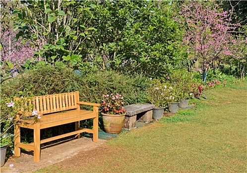 花园,场景,长椅