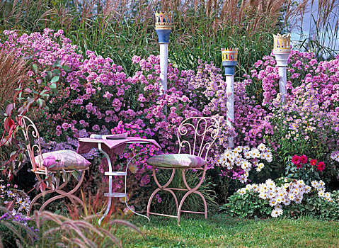 秋天,座椅,多年生植物,粉色