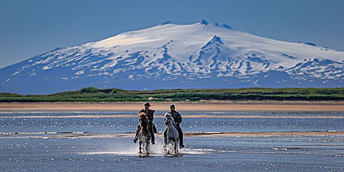 骑马,海滩,冰河,背景,斯奈山半岛,冰岛
