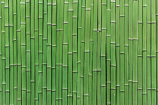 竹子背景素材