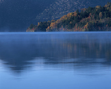 黄叶,湖