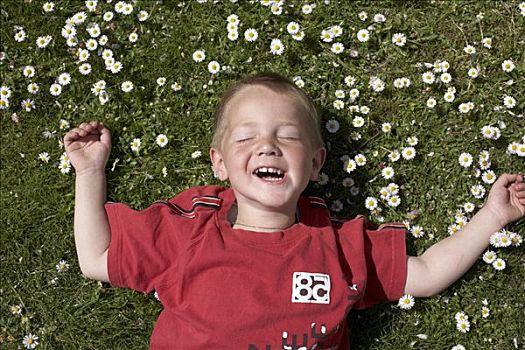 小,男孩,卧,草地,雏菊,笑