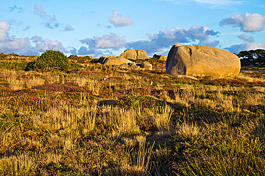 美景,花冈岩,漂石,布列塔尼半岛,法国