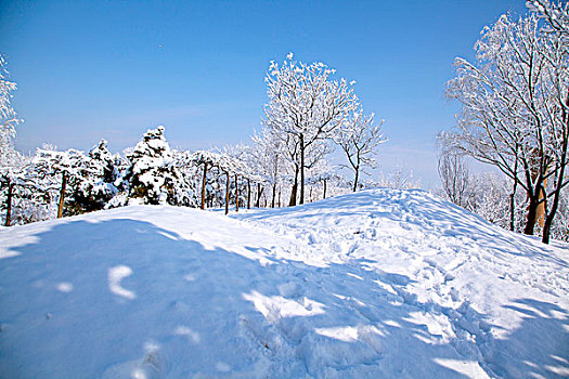 厚厚的白雪覆盖在小山坡和树林上