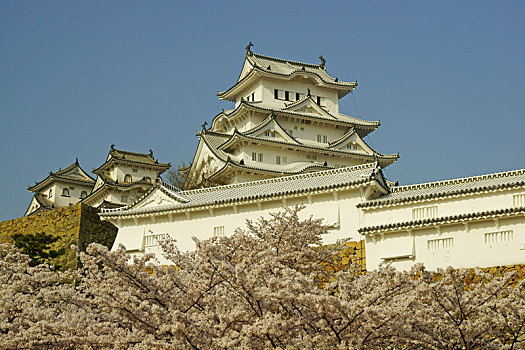 姬路城堡,春天,兵库,日本