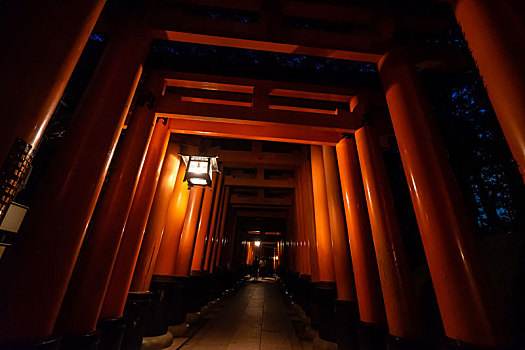 日本京都伏见稻荷大社千本鸟居夜景