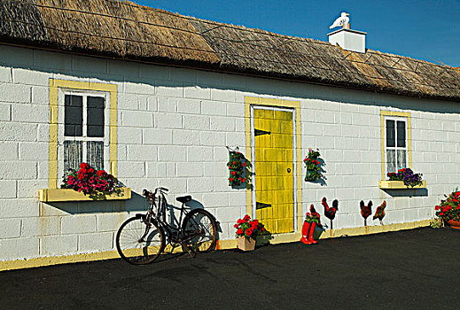 涂绘,建筑,老,茅草屋顶,捕鱼,屋舍,乡村,沃特福德郡,爱尔兰