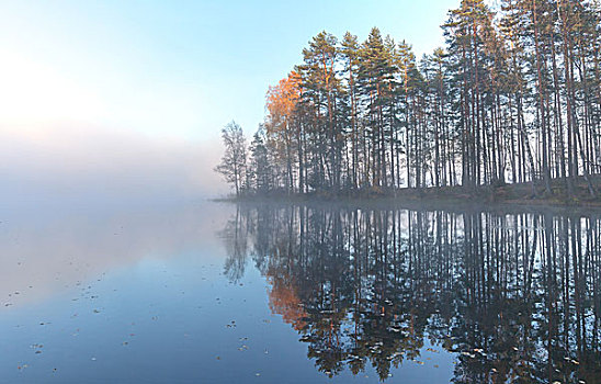安静,湖,秋日风光,寒冷,雾状,早晨