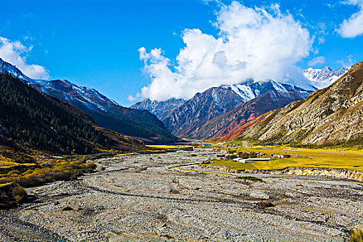 祁连山山麓亚洲最大的半野生鹿基地