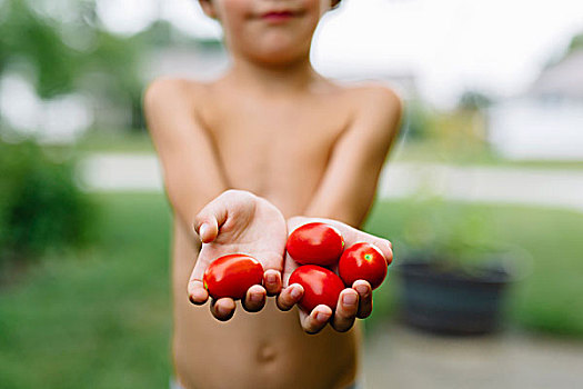 特写,敞胸,男孩,站立,花园,拿着,西红柿