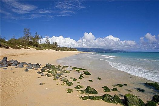 夏威夷,毛伊岛,沙滩,苔藓,石头,美好,蓝色,海洋,阴天