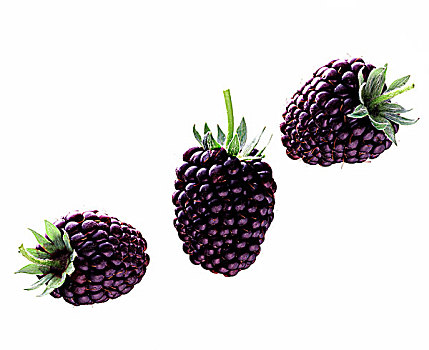 三个,成熟,黑莓
