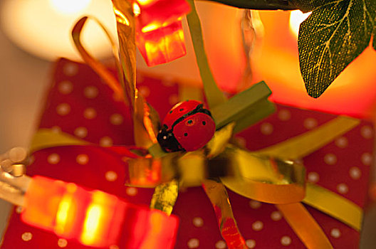 圣诞礼物,装饰,瓢虫