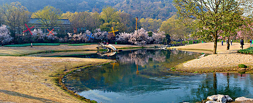 西湖郁金香,太子湾公园