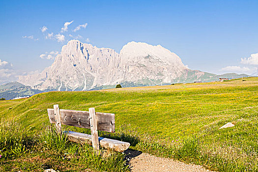 长椅,阿尔卑斯草甸,山,白云岩,南蒂罗尔,意大利