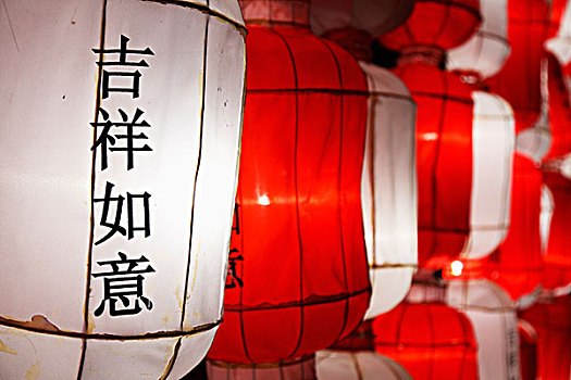 红色,白色,灯笼,说话,中国人,语言文字,清迈,泰国