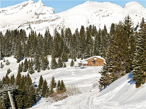 风景,滑雪,区域