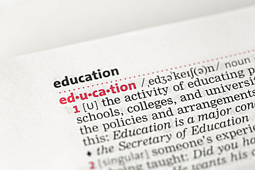 教育,定义,字典