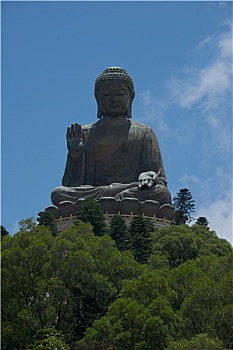 大佛,山顶,高处,绿色,树