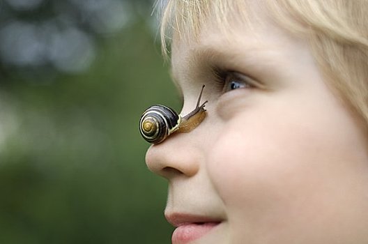 男孩,蜗牛,鼻子