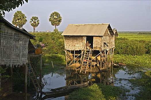 特色,高脚屋,树液,柬埔寨,东南亚