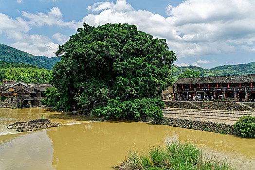 福建,漳州,古镇,风光