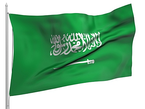 飞,旗帜,沙特阿拉伯,国家