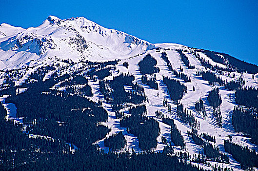 黑梳山,滑雪胜地,不列颠哥伦比亚省,加拿大