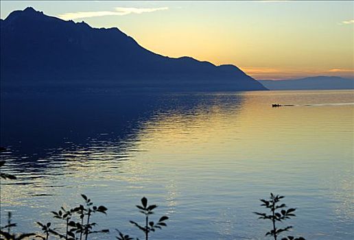 日落,日内瓦湖,瑞士