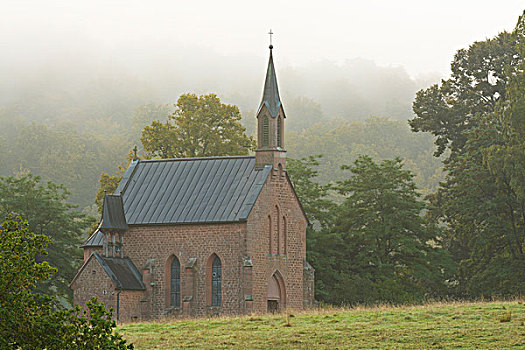 教堂,早,雾,施佩萨特,巴伐利亚,德国