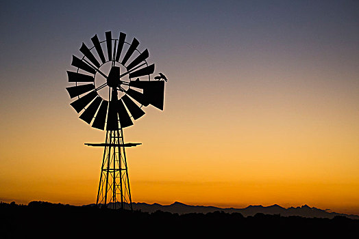 风车,日落,南非