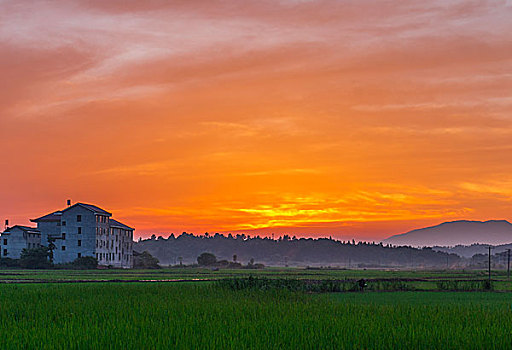 草地,房屋,树木,山,夕阳,云