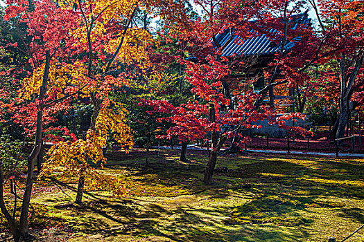 日本京都金阁寺