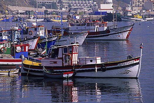 葡萄牙,靠近,里斯本,渔港,渔船